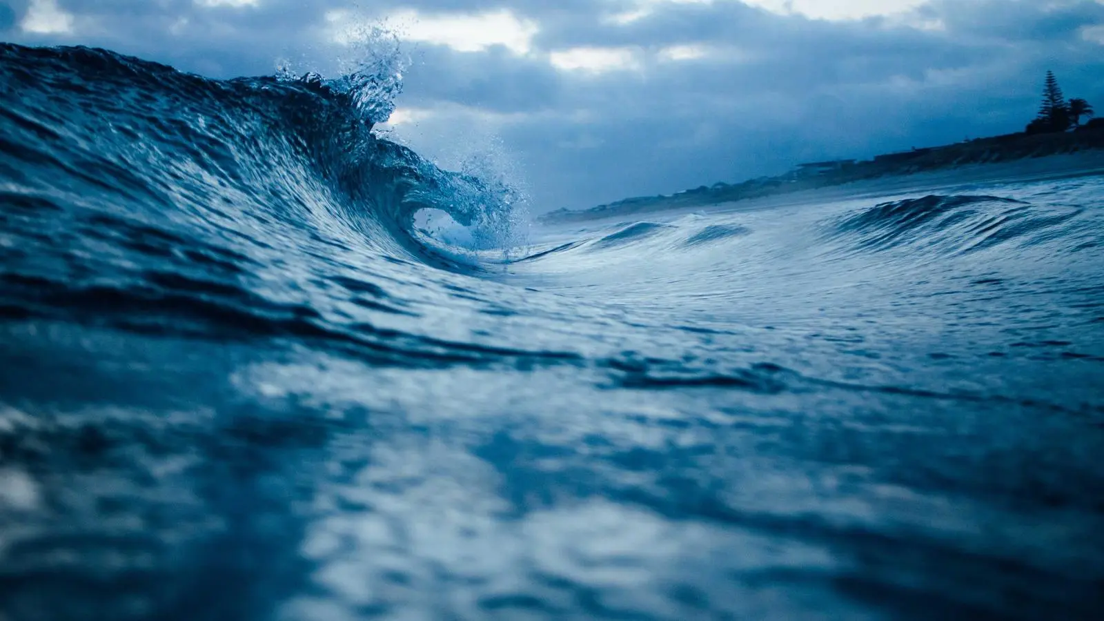 A single wave building in the open sea